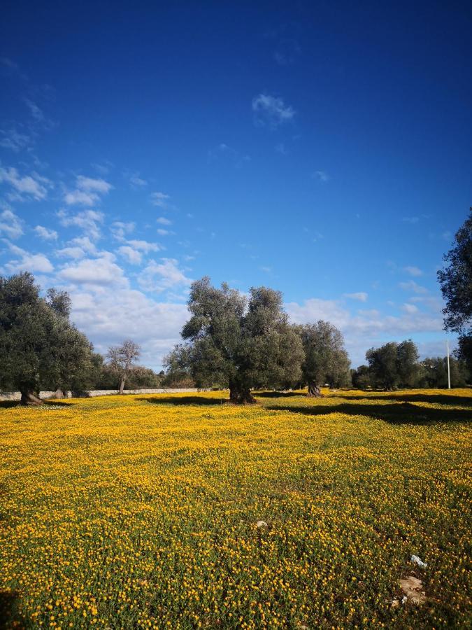 Le Dimore Di Mama Ceglie Messapica Exterior photo
